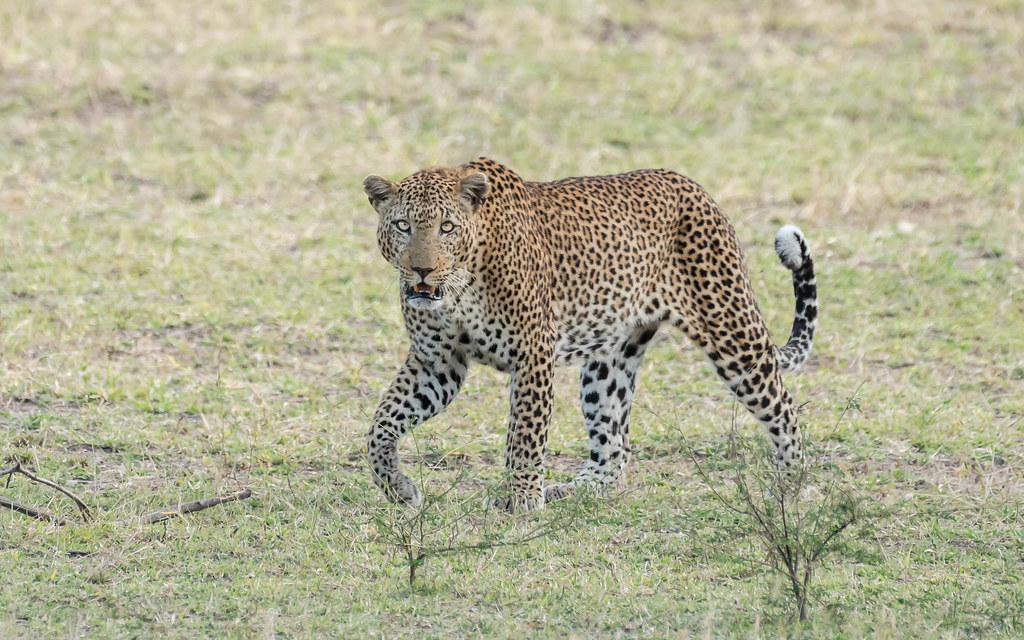 2 Days Selous from Zanzibar