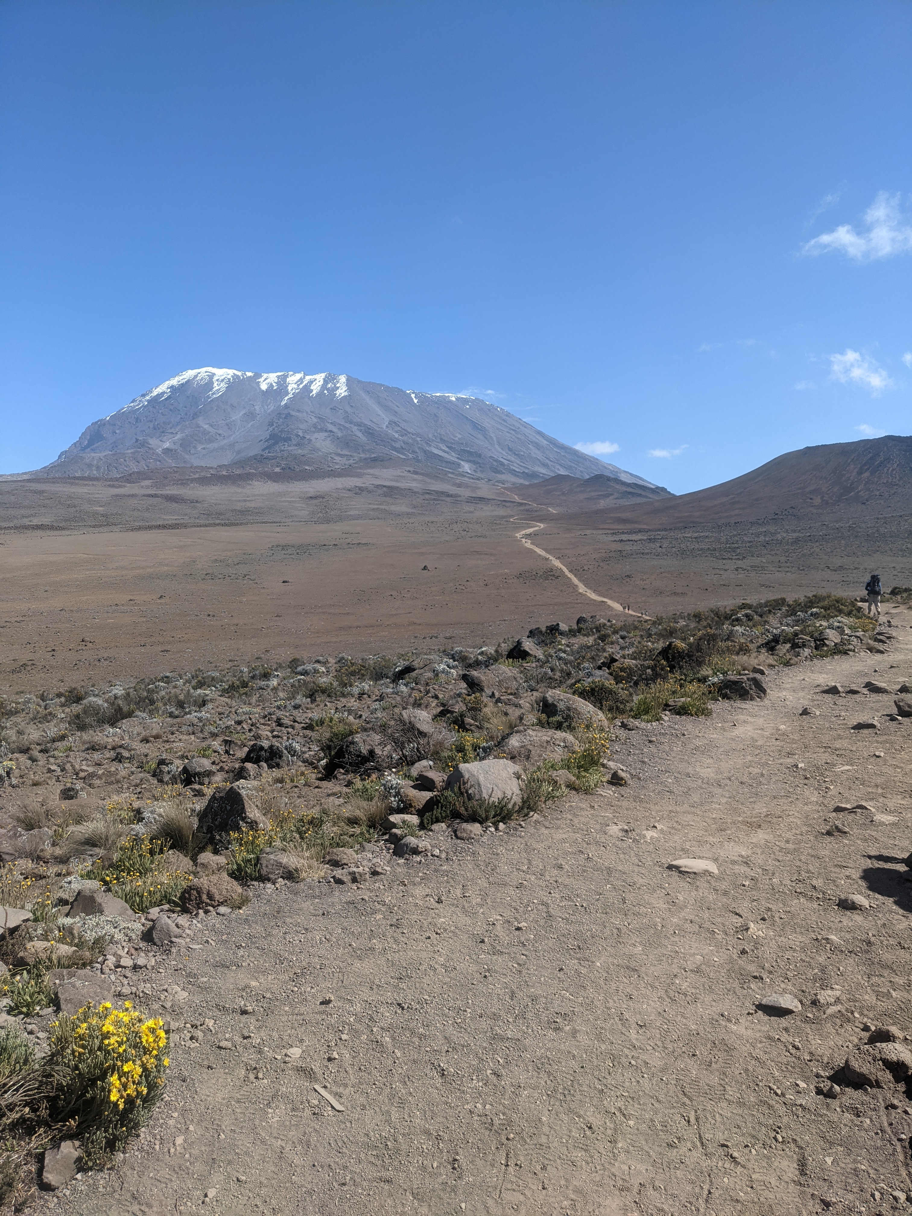 6 Days Rongai Route Kilimanjaro Climb
