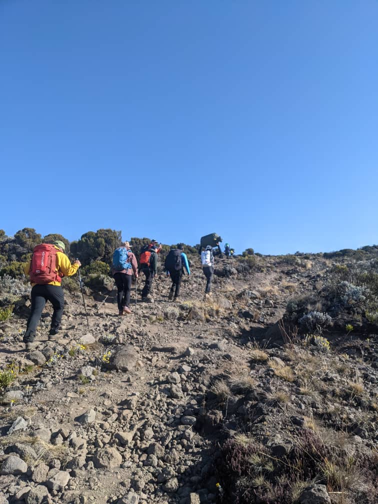 7 Days Rongai Route Kilimanjaro Climb