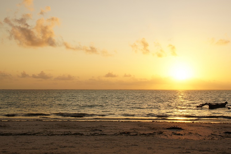5 DAYS TANZANIA CAMPING SAFARI