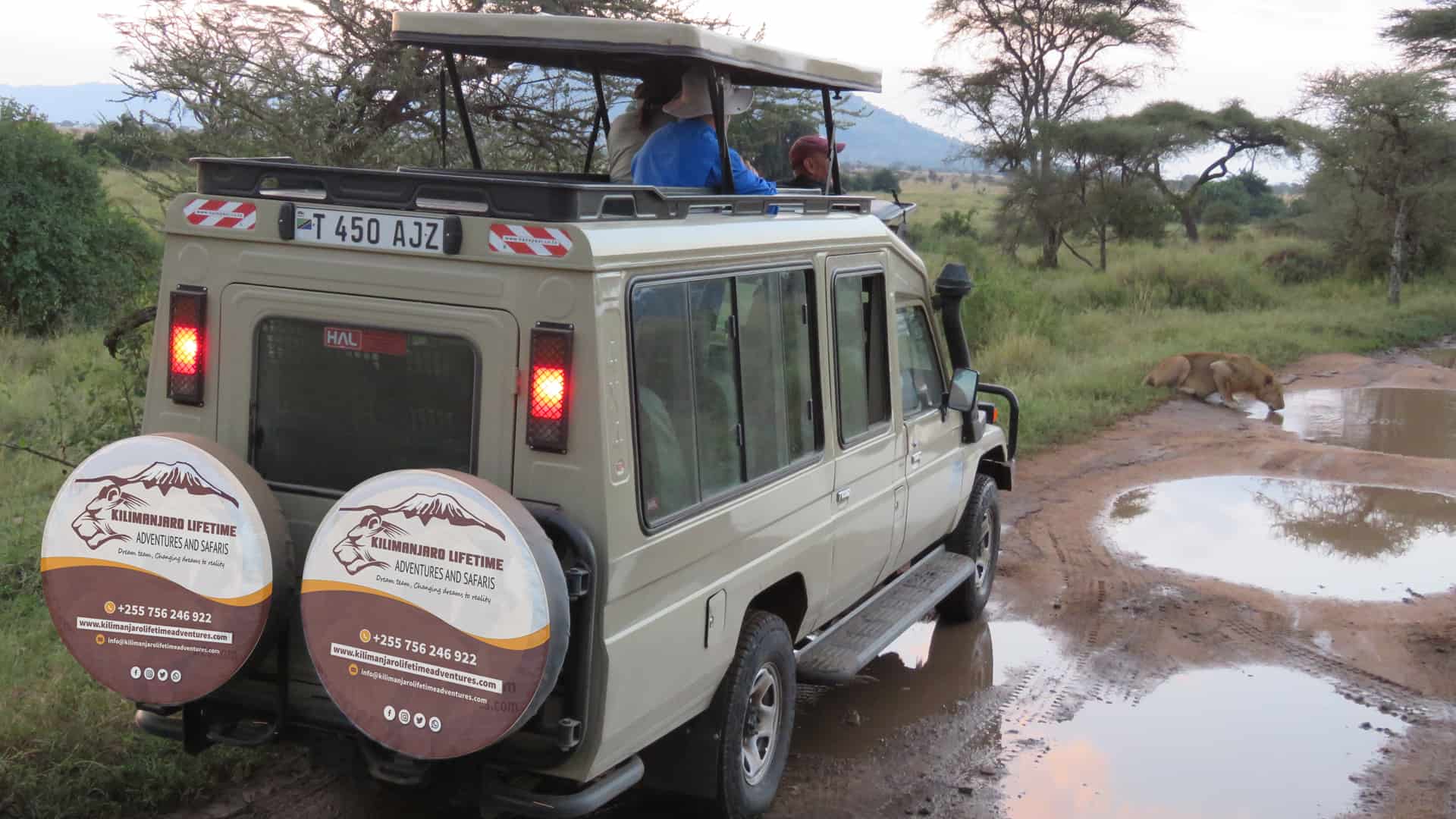 4 Days Tanzania Sharing Budget Safari