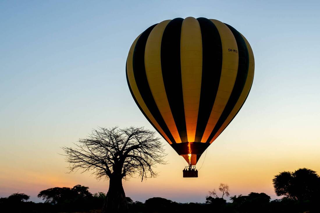 Serengeti Hot Air Balloon Safari