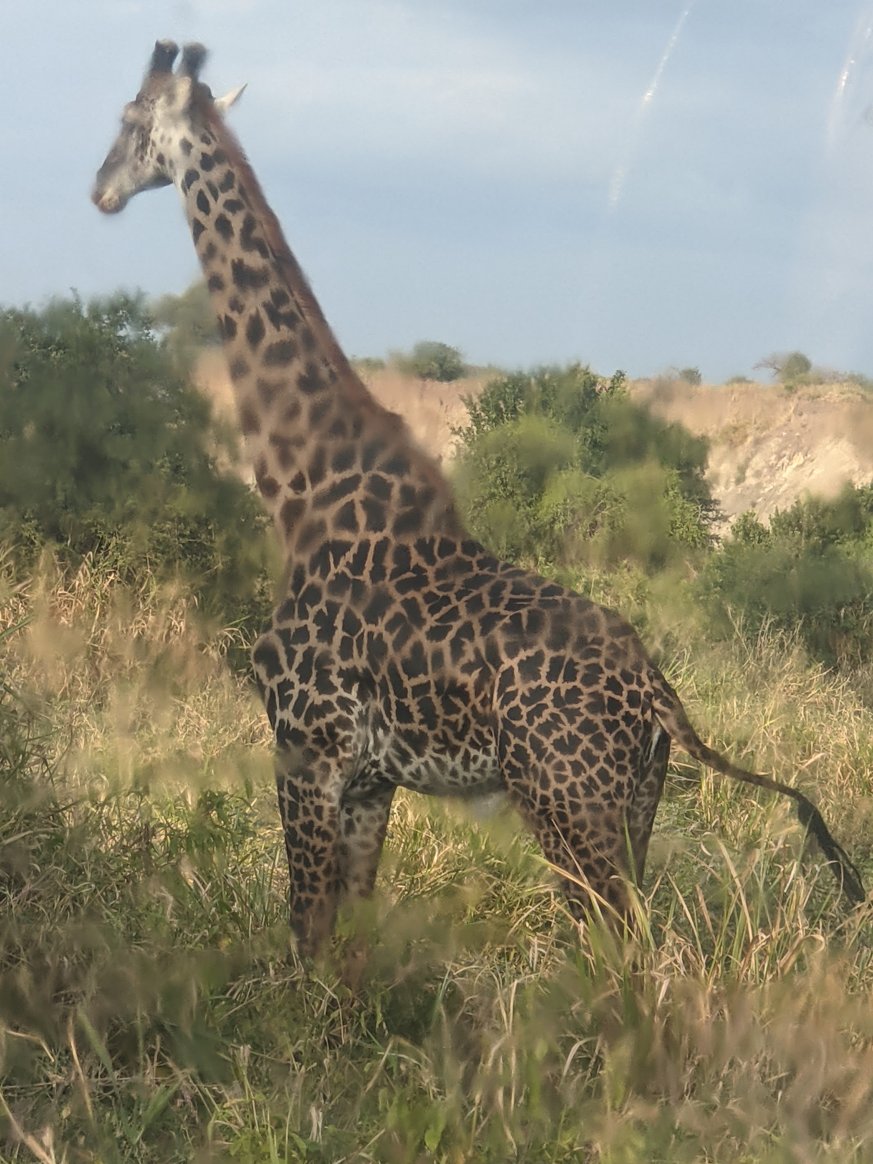 Arusha National Park Day Trip