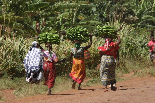 Marangu Cultural Tour