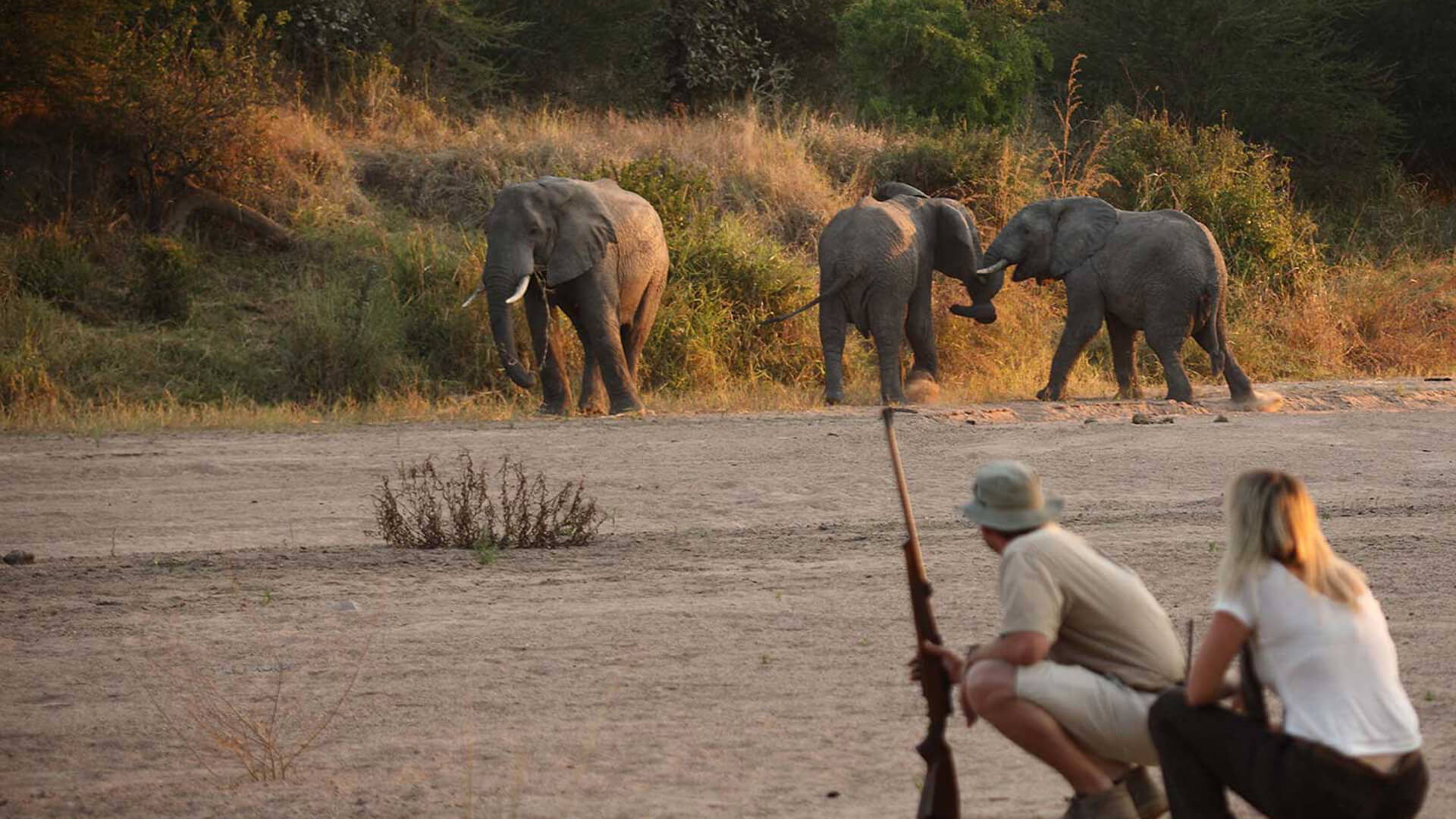 7-DAY TARANGIRE, LAKE MANYARA & SERENGETI SAFARI