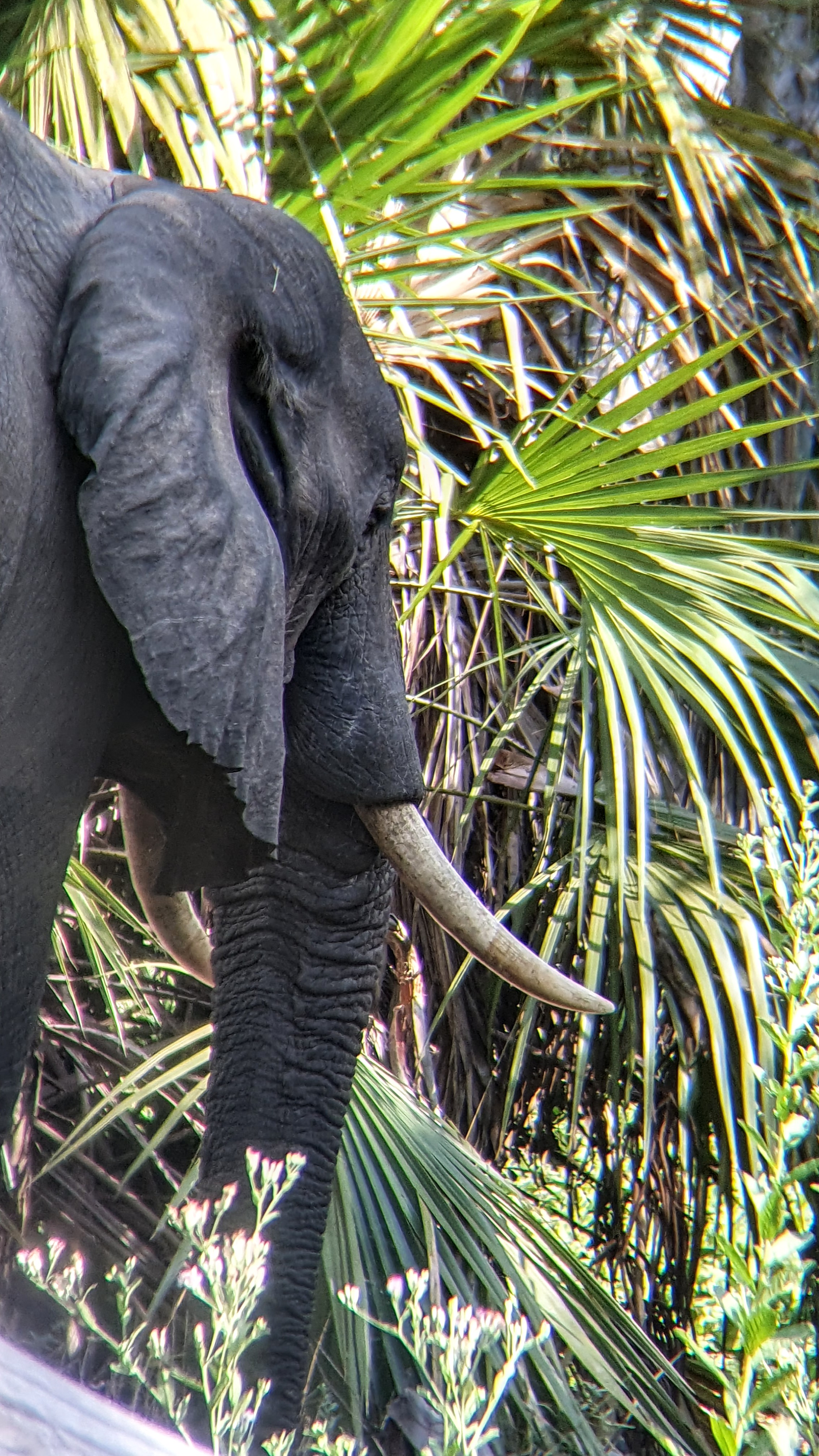 2 days 1 Night Drive In