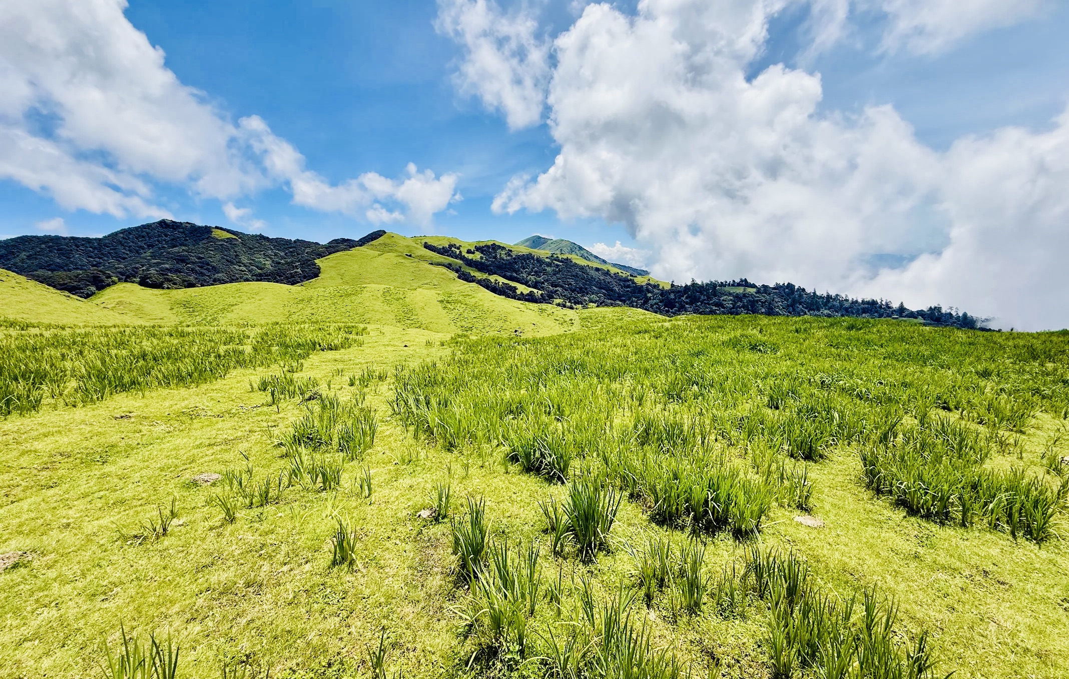 Mundhum Trail Trekking