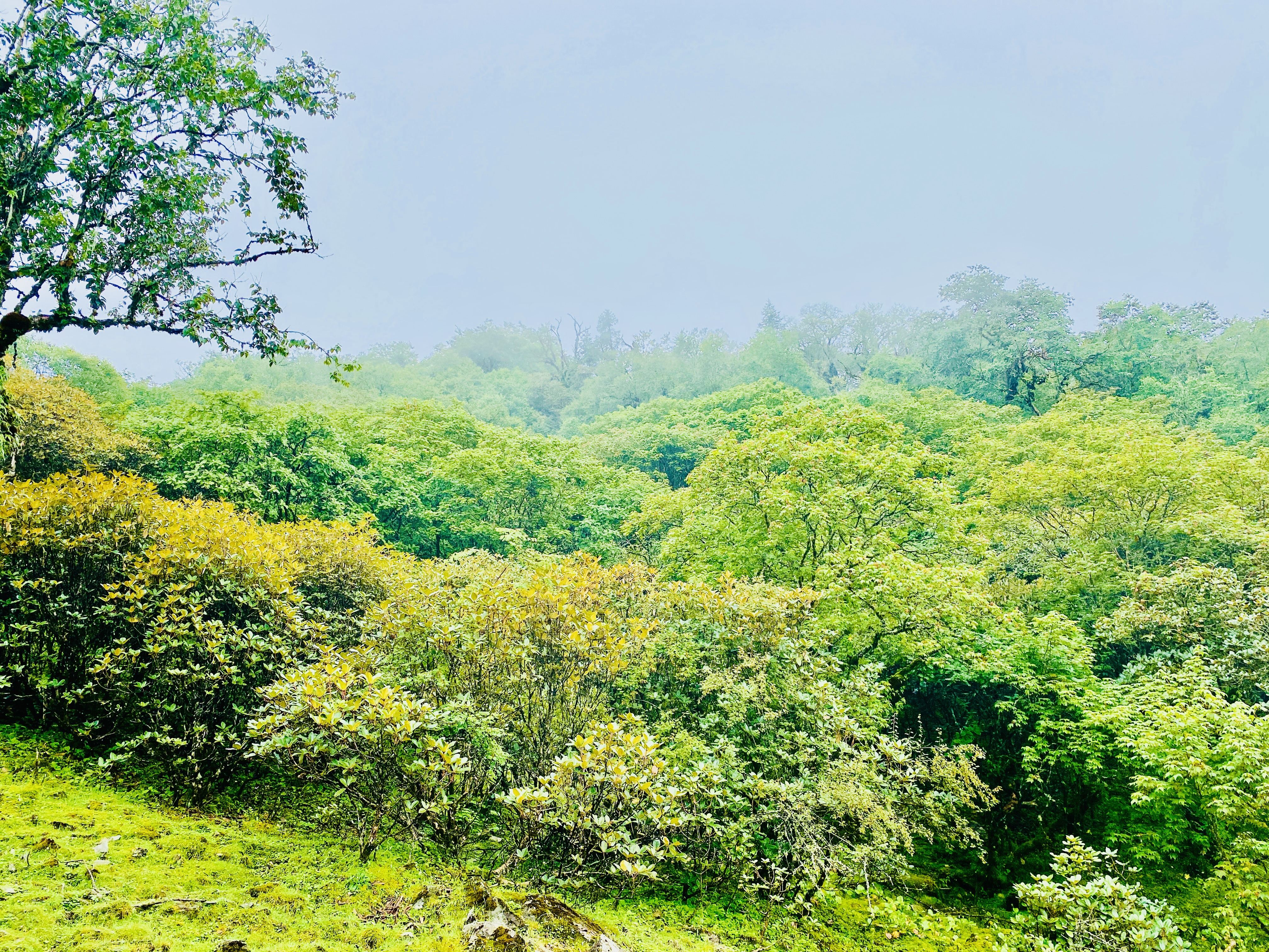 Remote Area Treks in Nepal