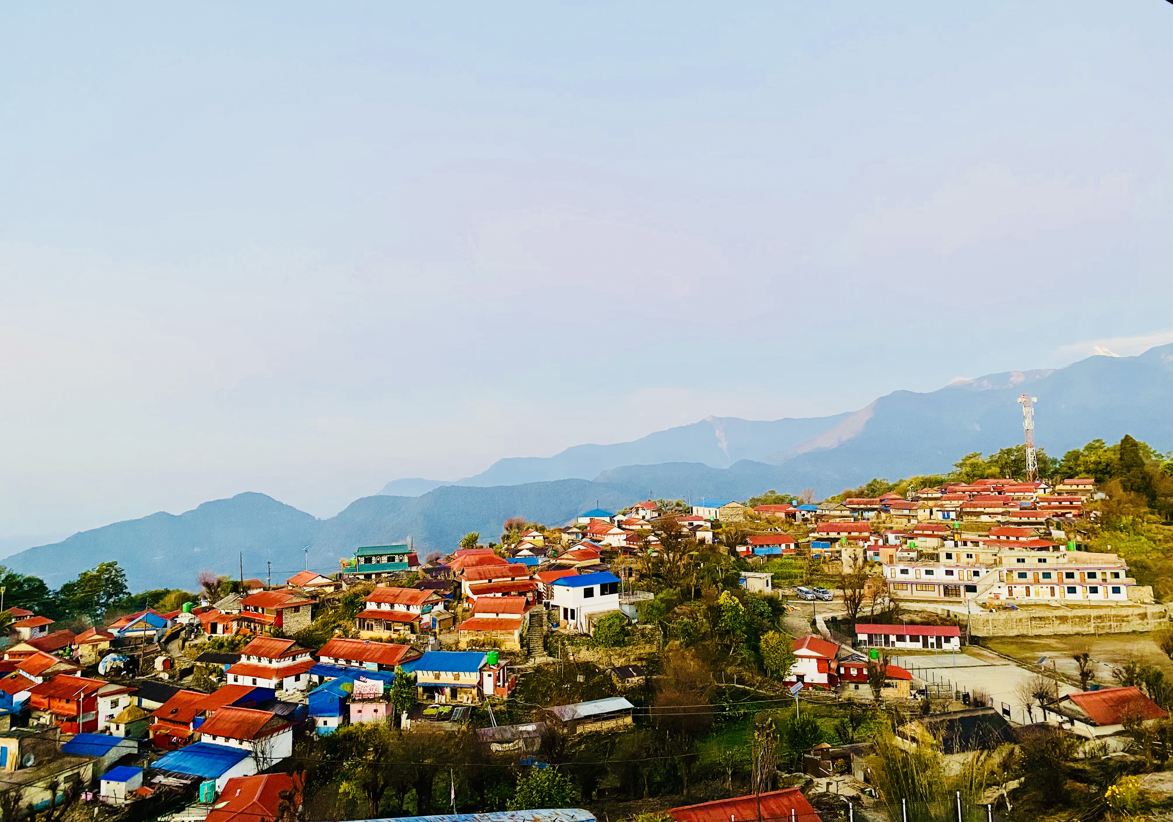 Mad Honey Hunting Tour - 7 Days