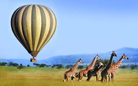 4 days Masai Mara  wildebeest Migration Tour