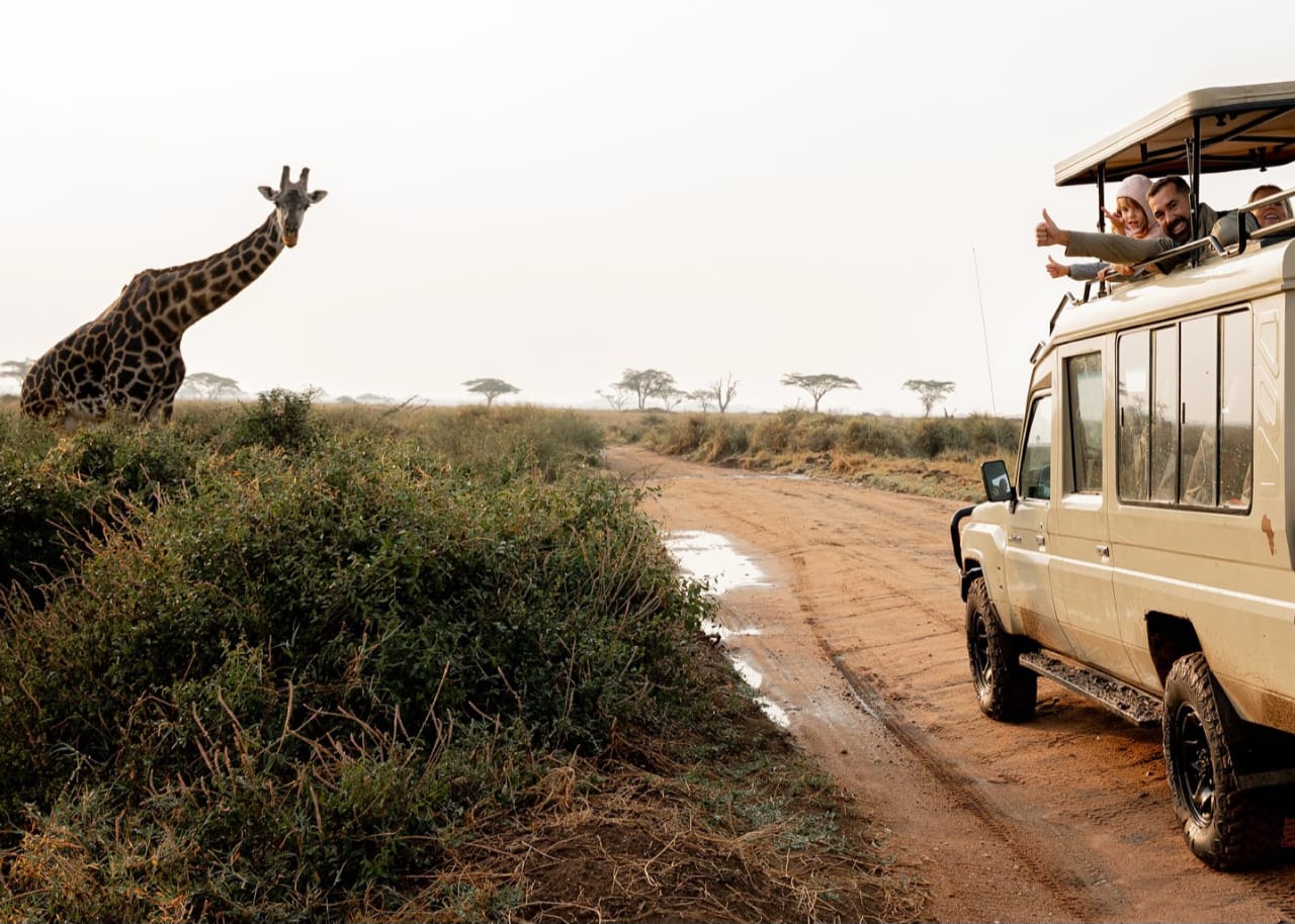 2 Days Serengeti National Park Safari