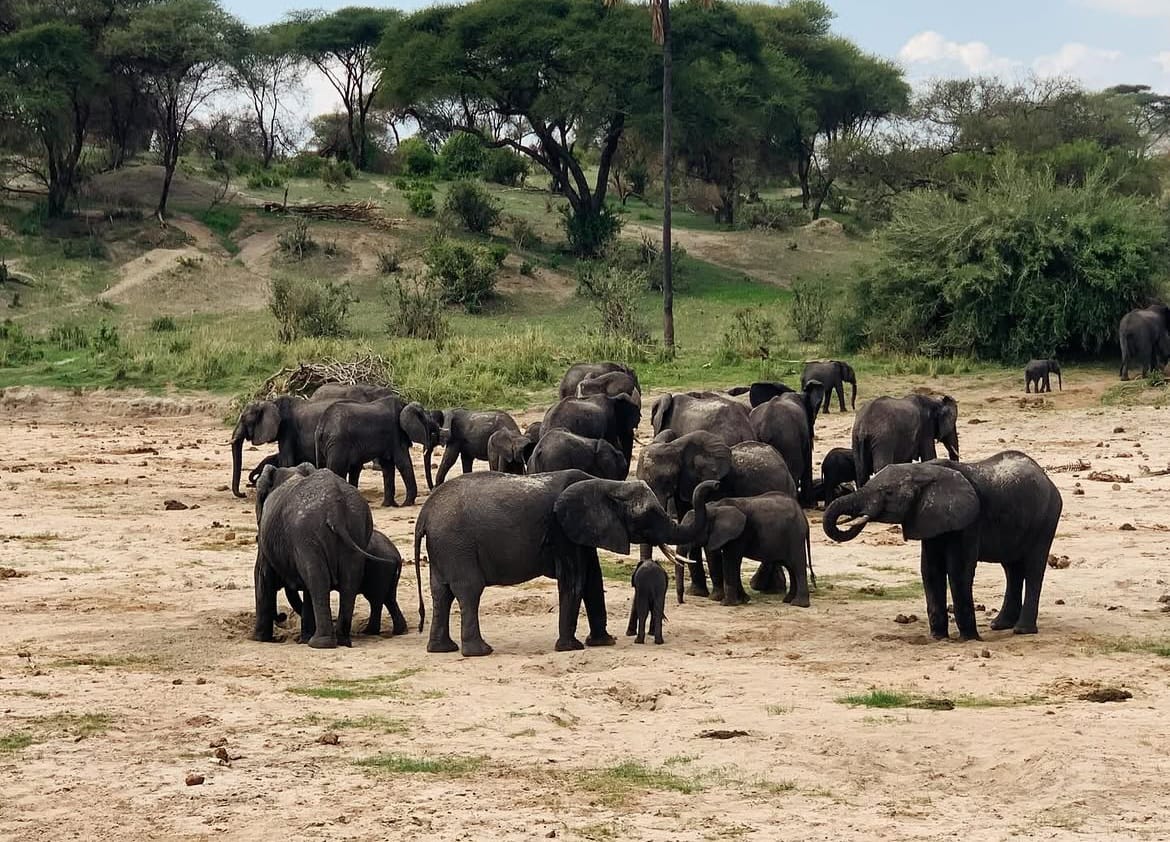 2 Days Lake Manyara & Ngorongoro Crater Safari