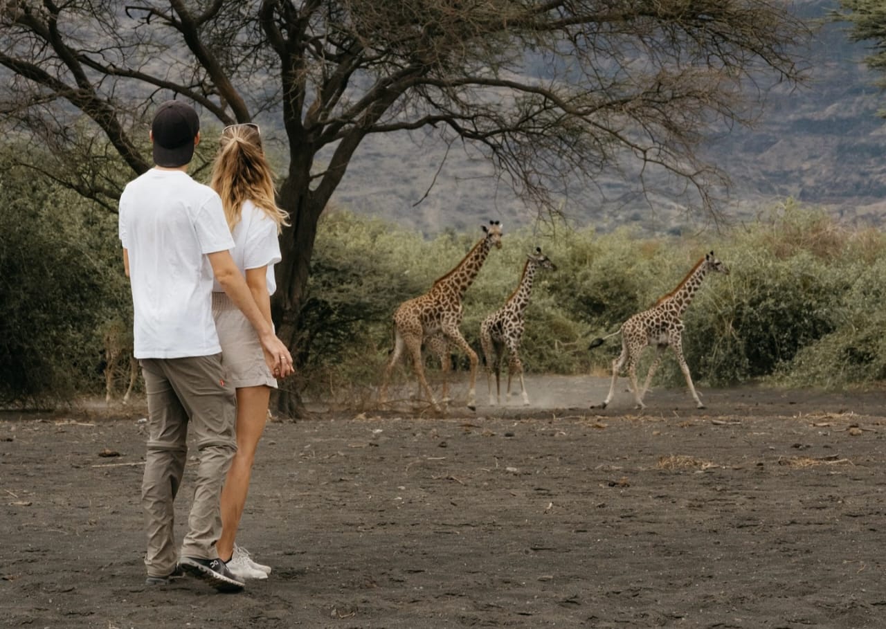3 Days Serengeti & Ngorongoro Crater Safari