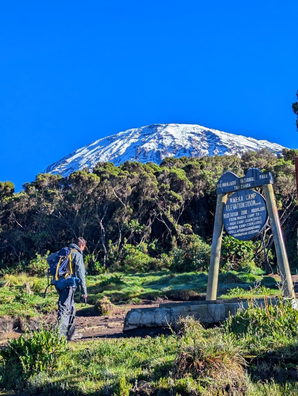 5 Days Marangu Route Kilimanjaro Climbing