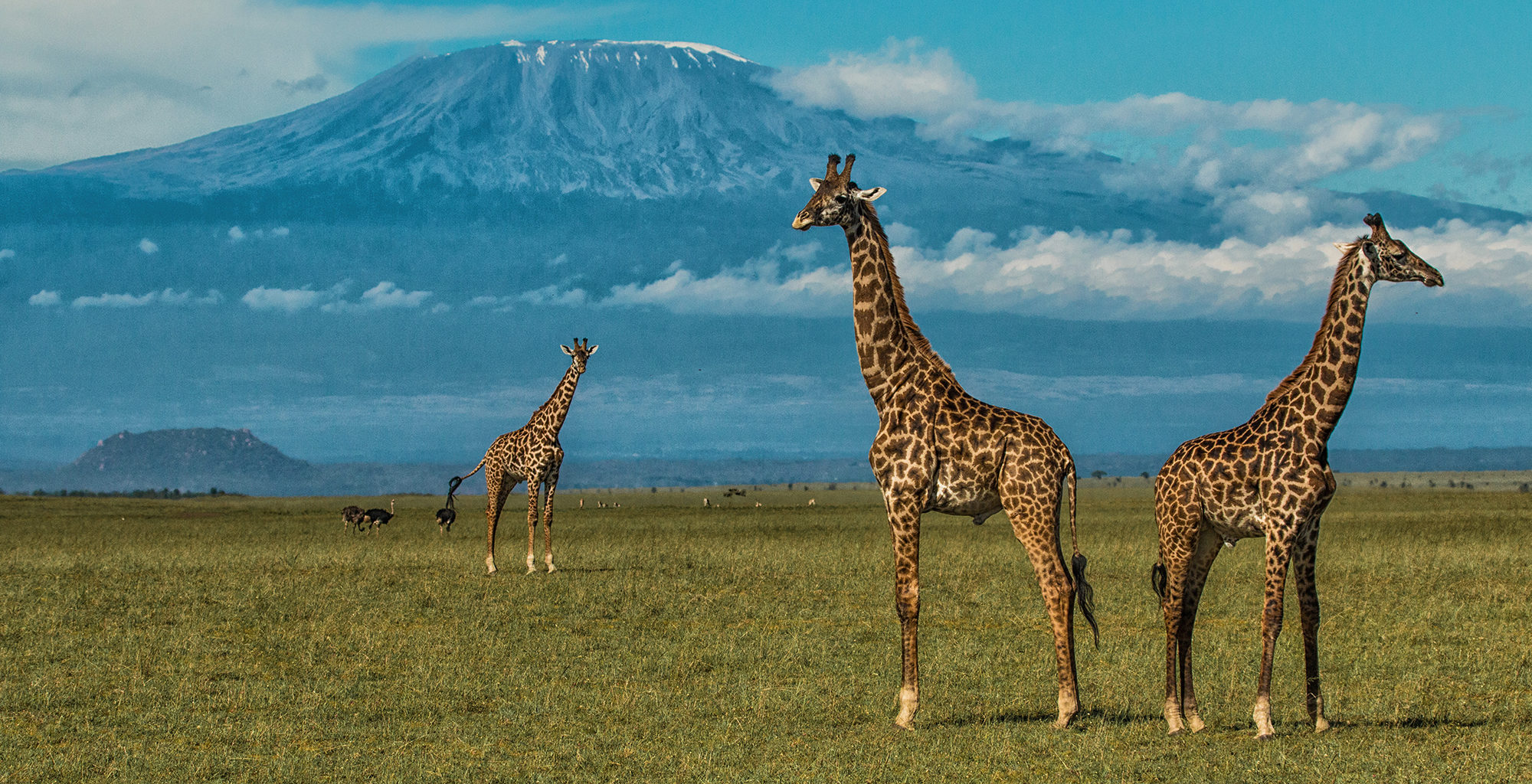 3Day Amboseli Luxury Safari