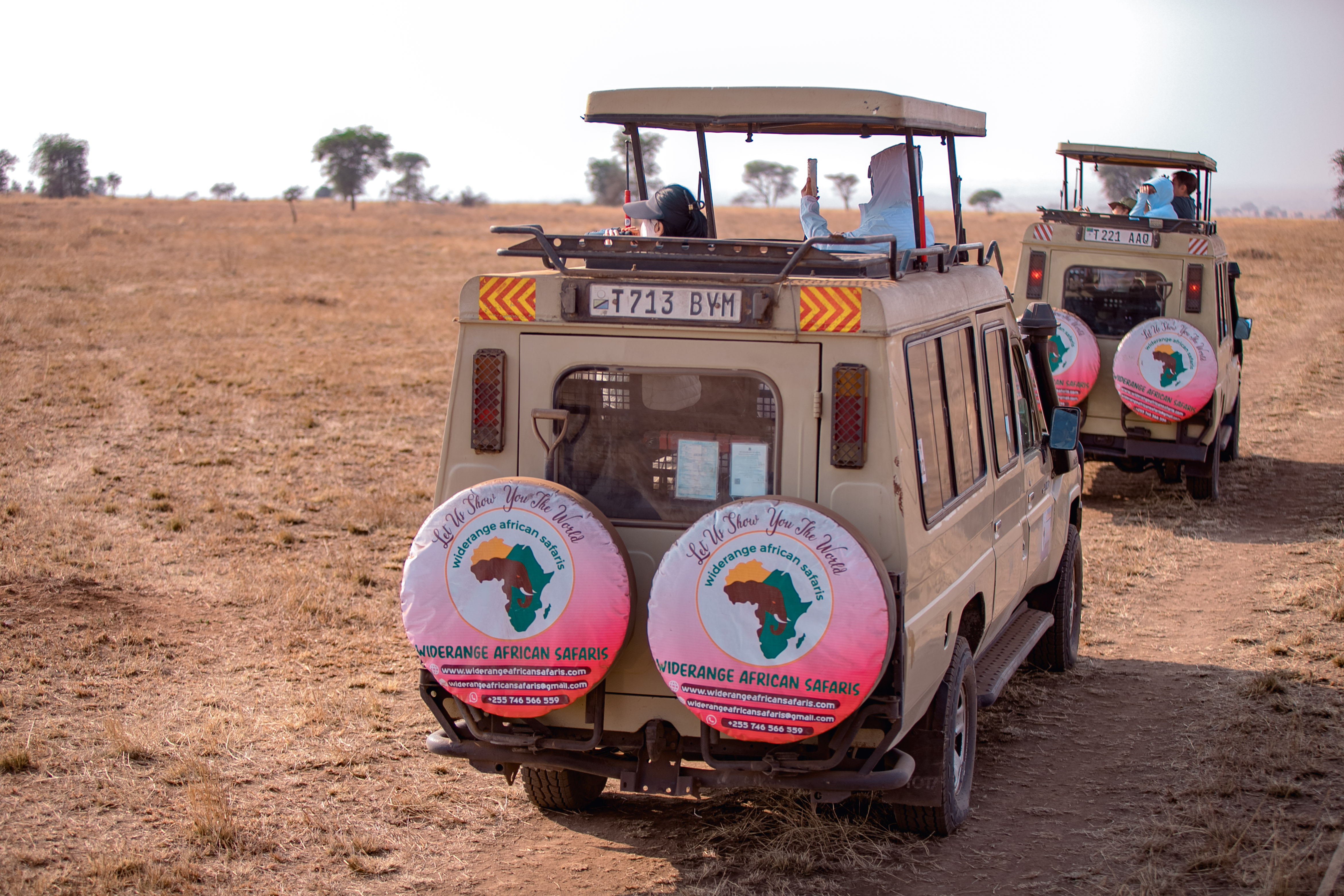 3 days Tanzania sharing budget safari package