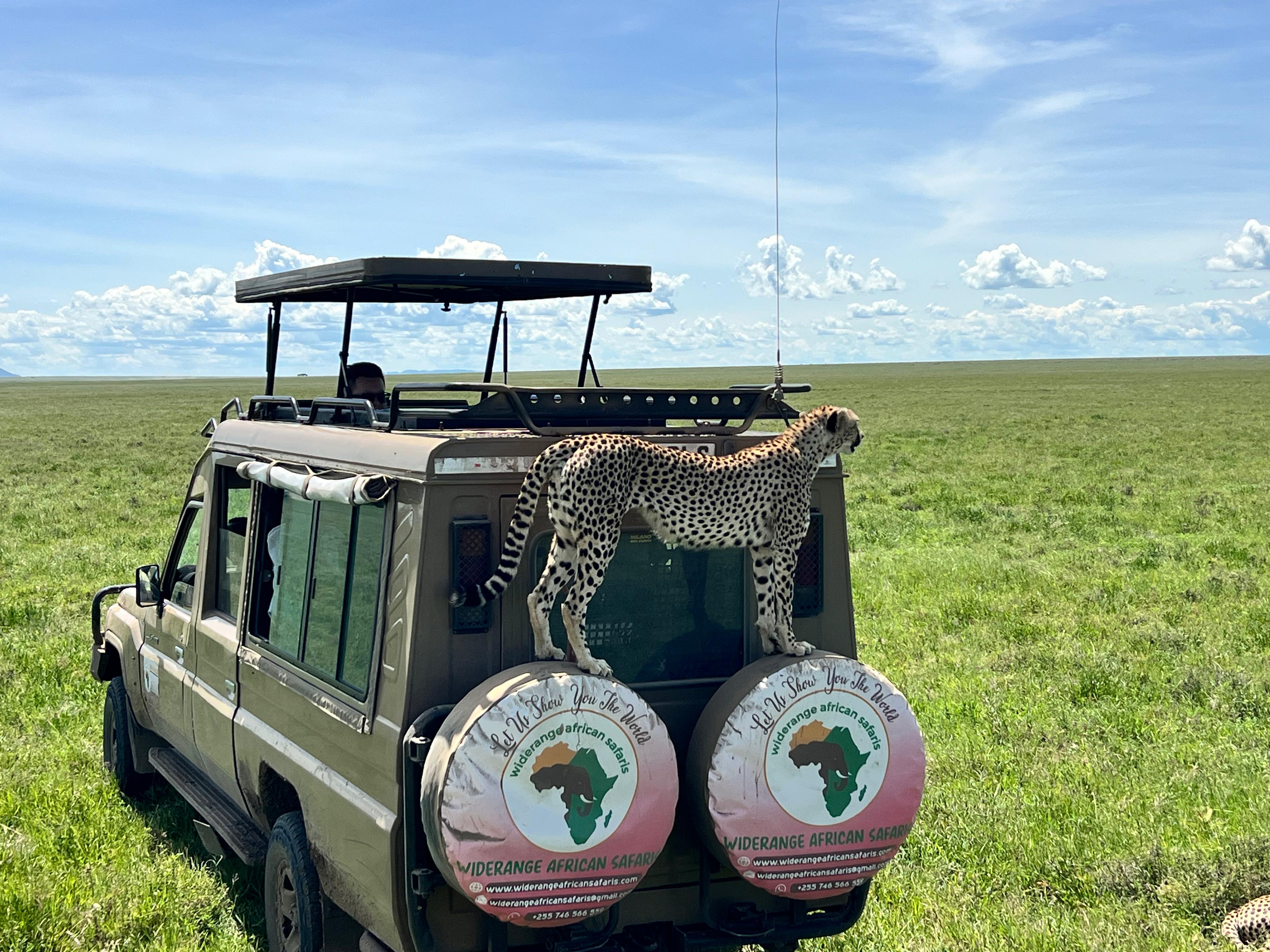 5 days Tanzania private safari package 2026/2027