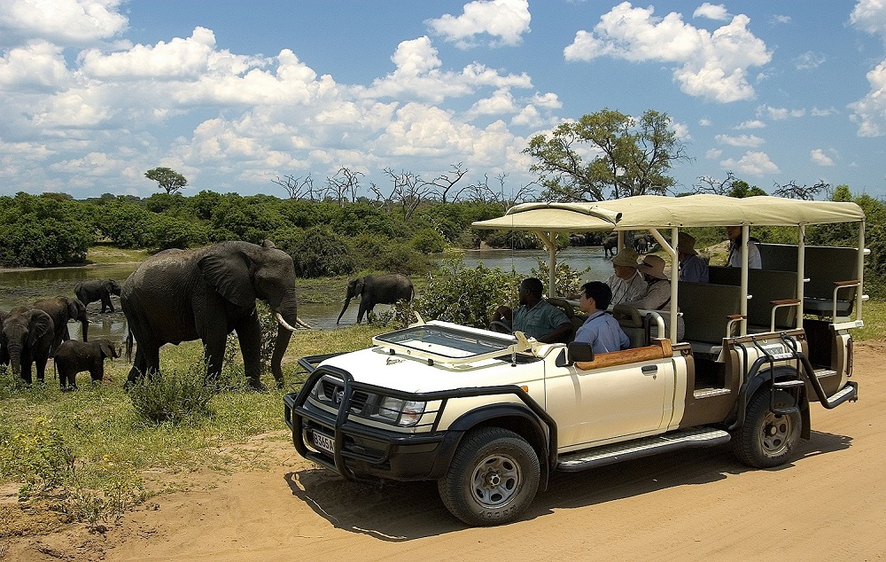 Chobe Day Trip from Victoria Falls & Livingstone