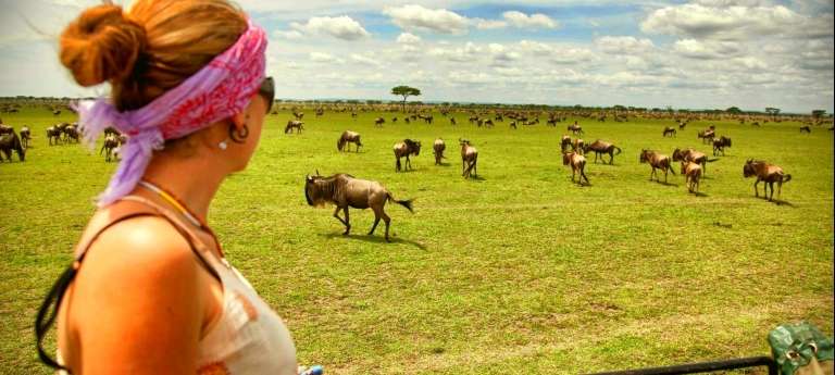 5 DAYS NDUTU SERENGETI MIGRATION SAFARI PACKAGE