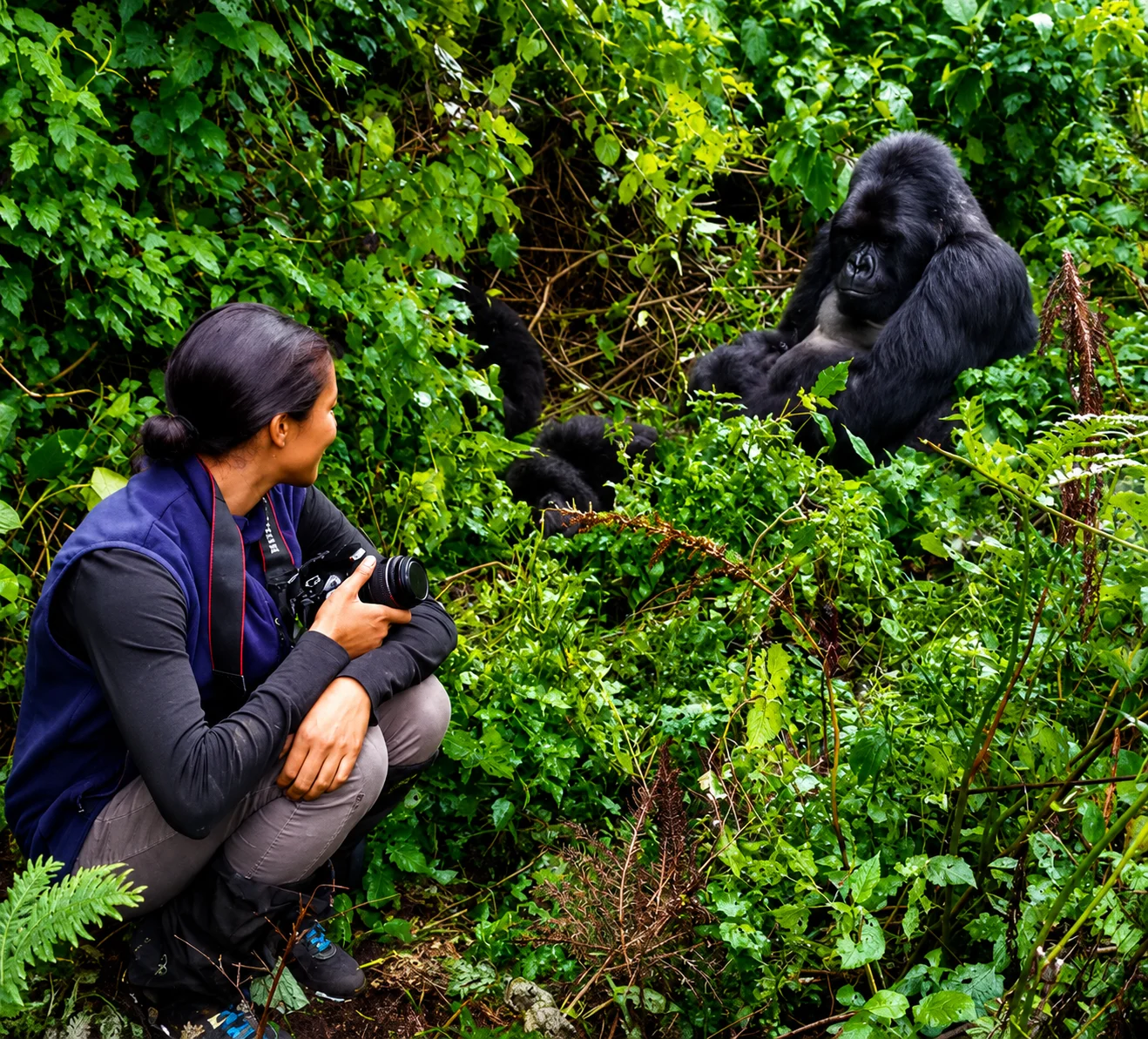 Gorilla Trekking Tour Bwindi